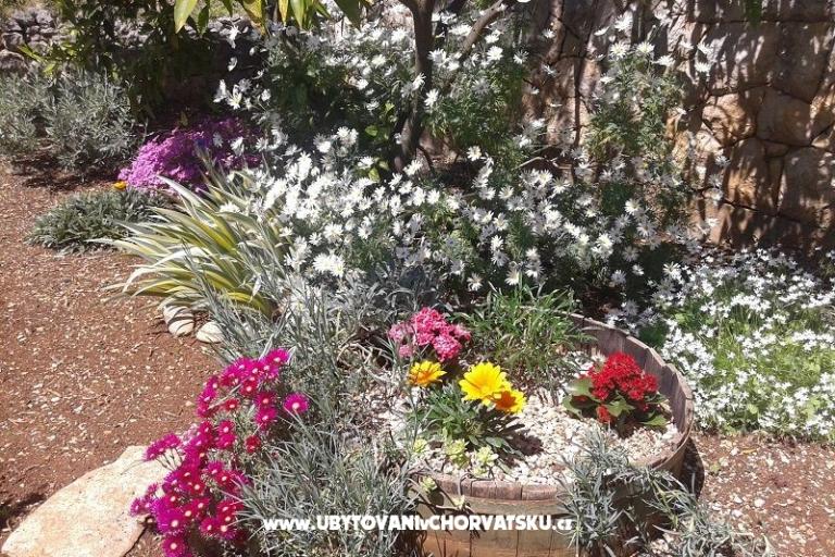 Apartmány Ivana  – foto 8