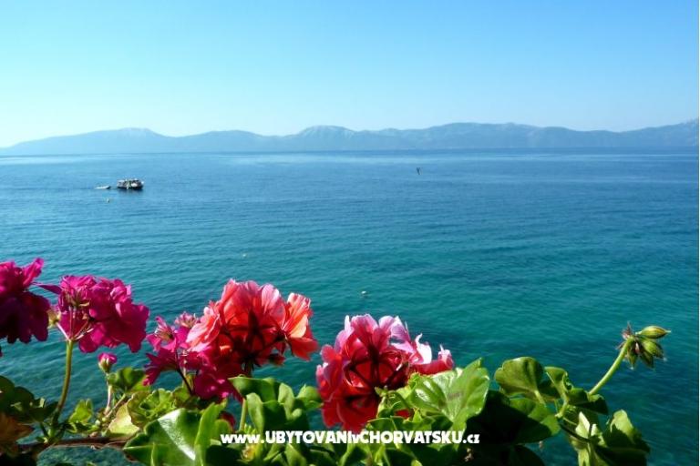 Apartmány Martina – foto 16