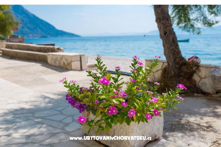 Apartmány Mira – foto 14