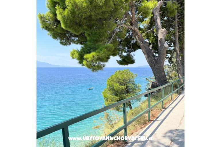 Apartmány NIKOLA – foto 10