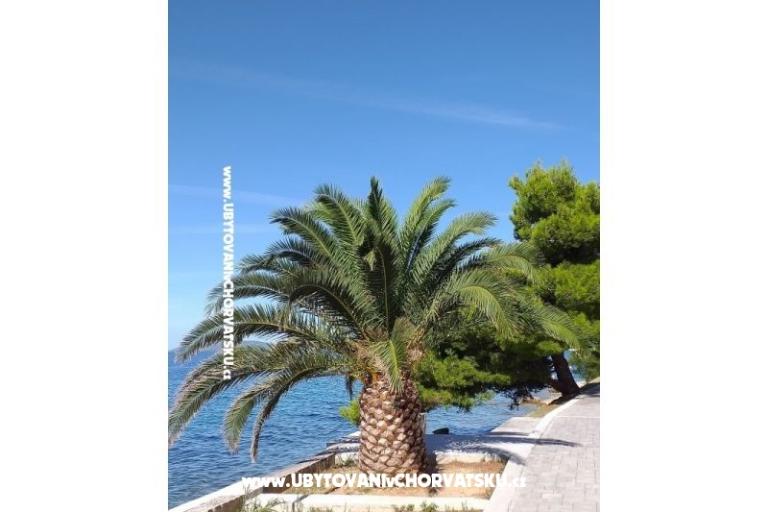 Apartmány NIKOLA – foto 7