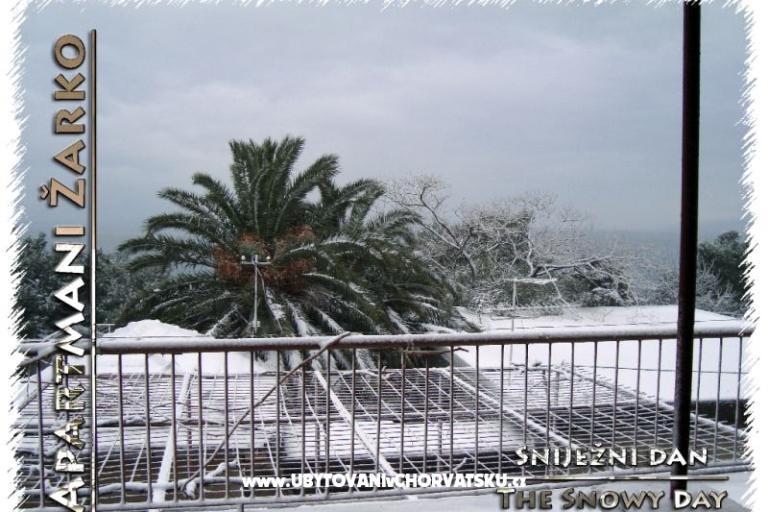 Apartmány Žarko – foto 17