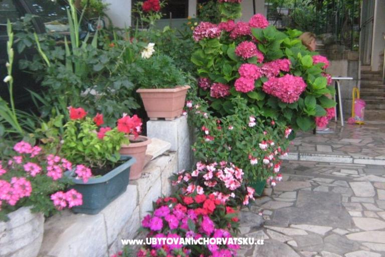 Apartmán Visko – foto 4