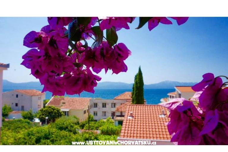 Apartmány Jerković Gradac – foto 7