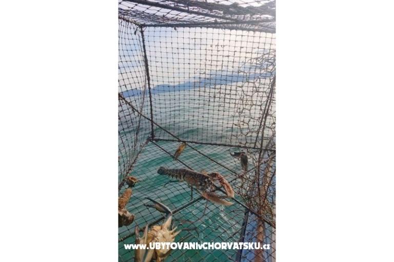 Apartmán Toth – foto 15