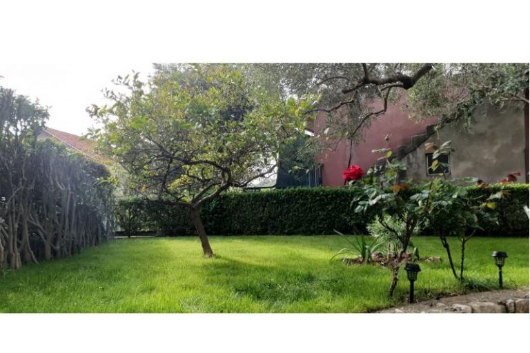 Apartmán Toth – foto 9