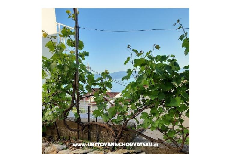 Beach Dům Buinac – foto 7