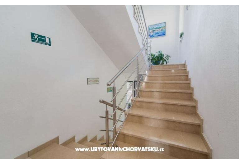 Color Apartmány Miošić – foto 9
