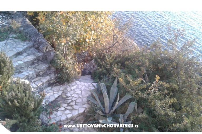 Dijana Beach Dům – foto 7