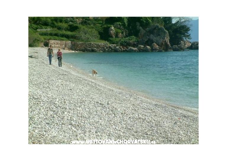 Apartmány Gradina – foto 11