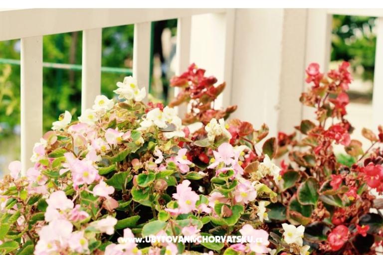 Vila Joško – foto 5