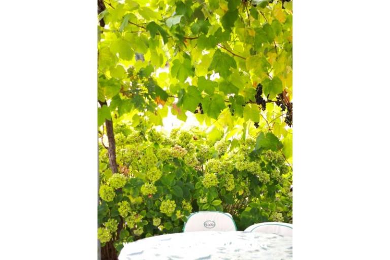 Vila Joško – foto 8