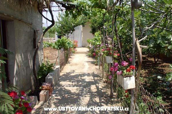 Apartmán Antea – foto 3