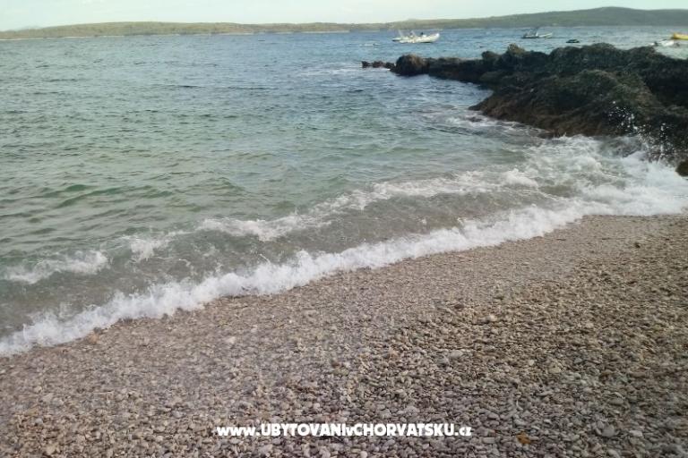 ART AND NATURE  – foto 11