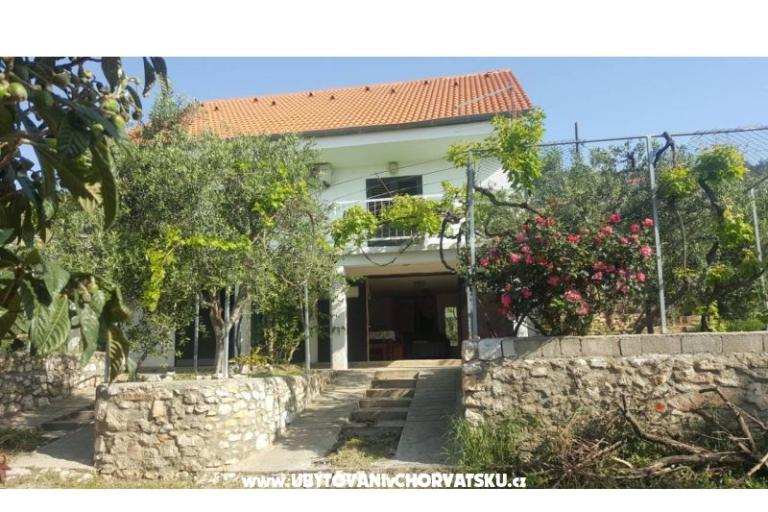 ART AND NATURE  – foto 14