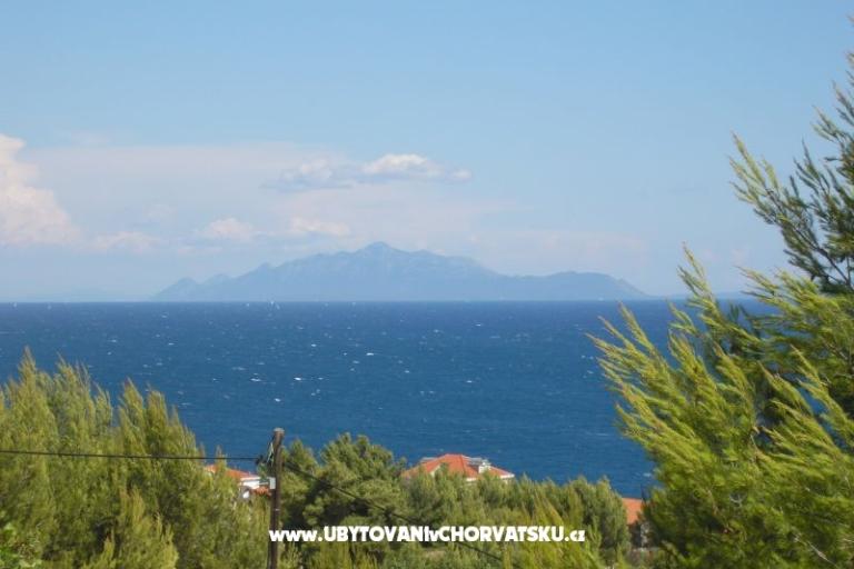 ART AND NATURE  – foto 6