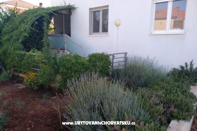 Apartmán Paiz – foto 2