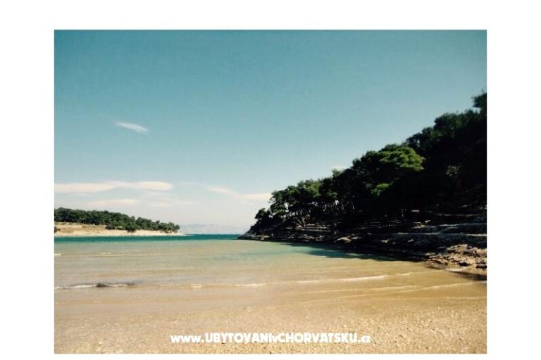 Apartmány Belić  – foto 16