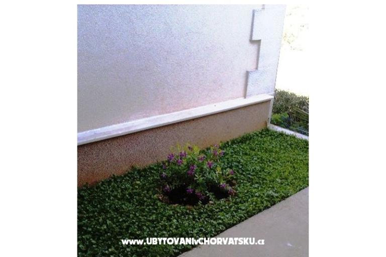 Apartmány Belić Nikola – foto 17