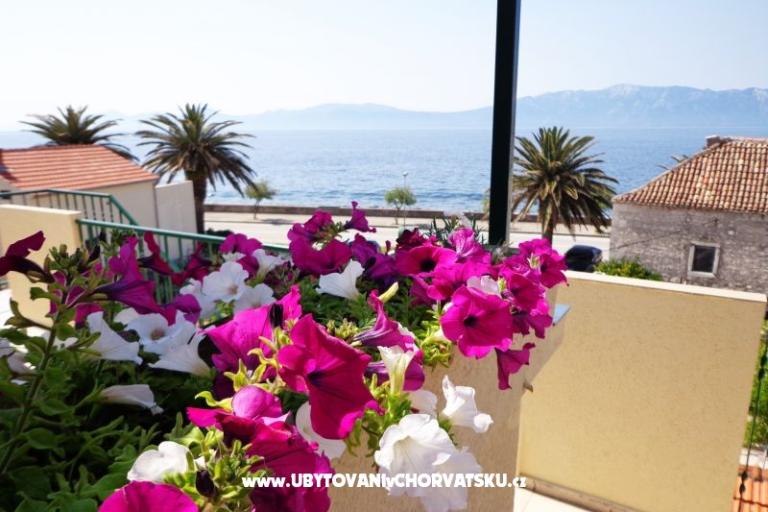 Apartmány Jure – foto 12