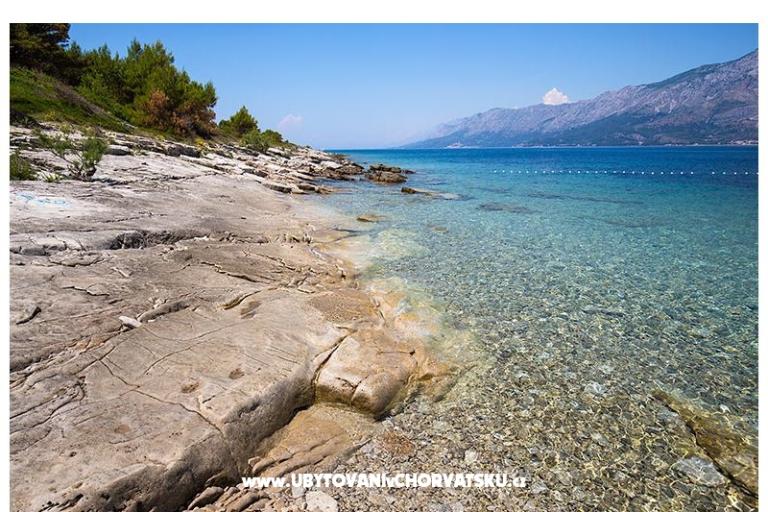 Guest Dům  - Piacun – foto 17