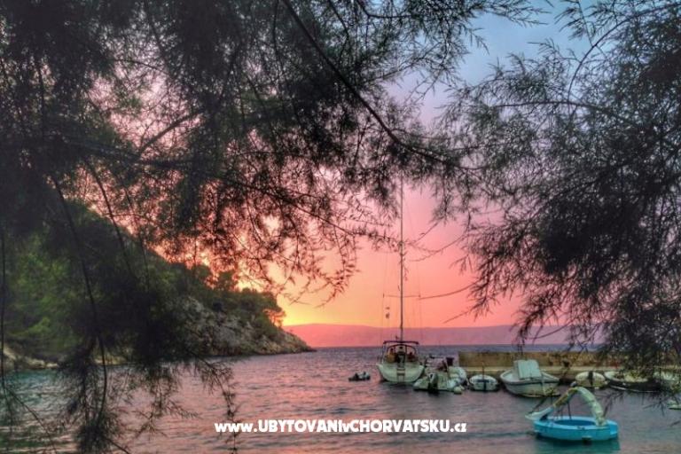 Apartmány Roza – foto 11