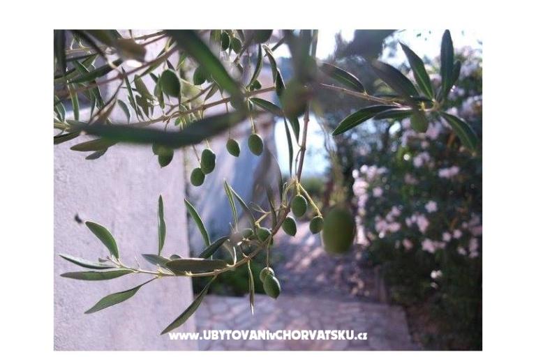 Apartmány Stipišić – foto 6