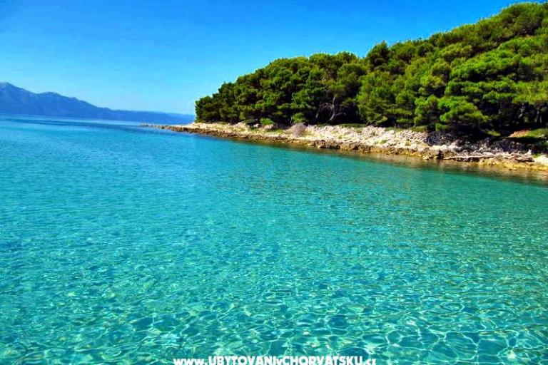 Apartmány  IDA – foto 16