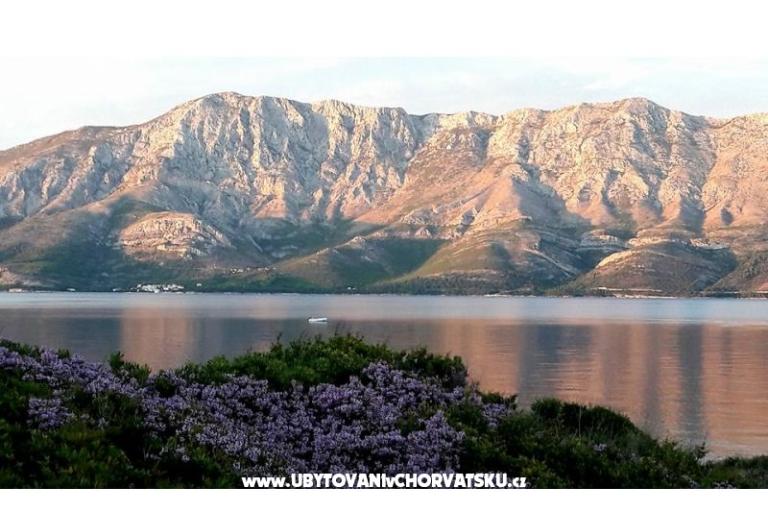 Apartmány Raueiser – foto 15