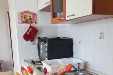 Apartmán Smokva - Villa Tudor – foto 5