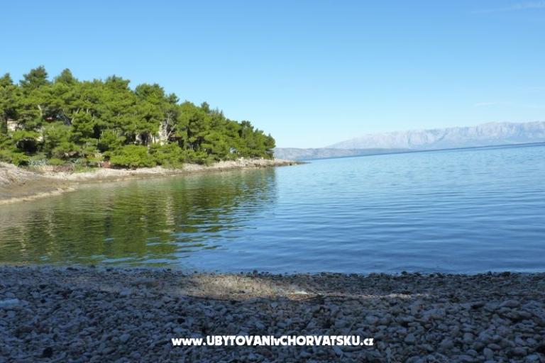 ApartmányNikolinaGrgicevic – foto 7