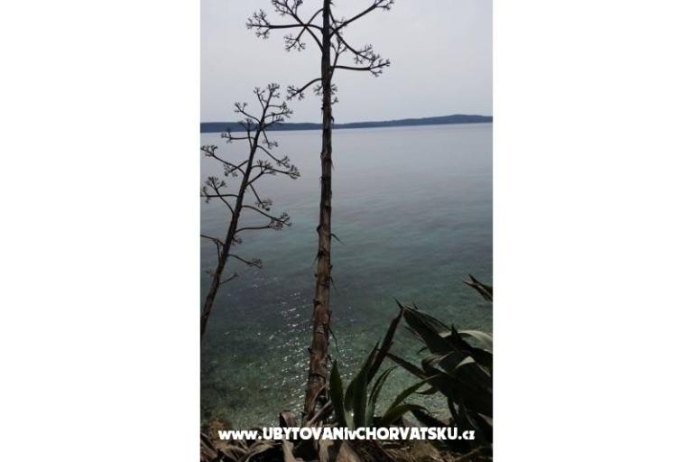 Dům k odpočinku Rubinić – foto 10