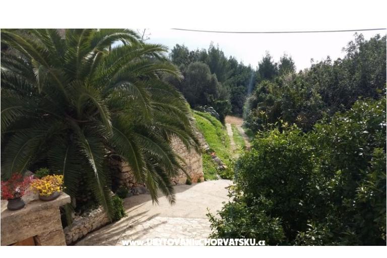 Dům k odpočinku Rubinić – foto 4