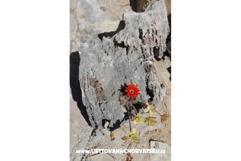 Dům k odpočinku Rubinić – foto 7