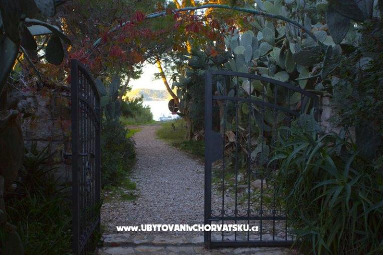 Tonči Vloka – foto 8