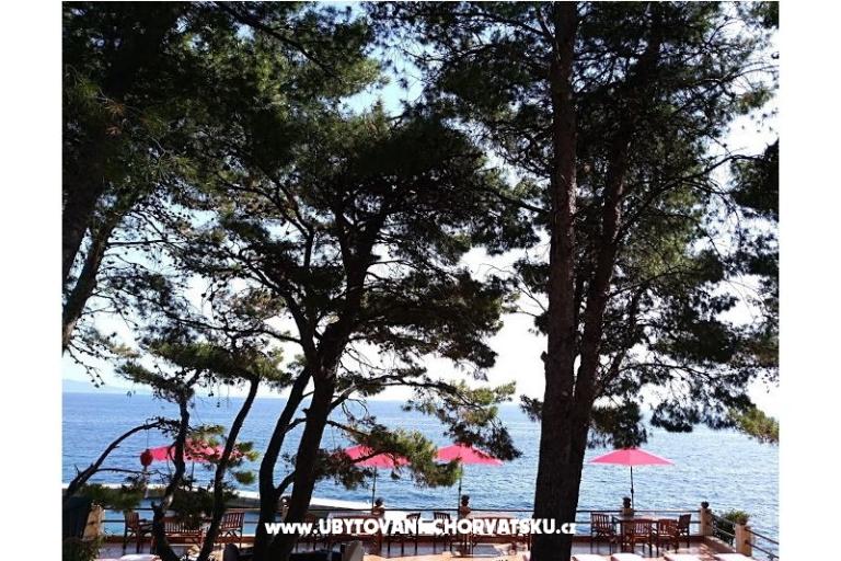 Pokoje i Apartmány - Villa Irming – foto 18