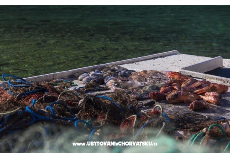 Vila Vela Stina – foto 12