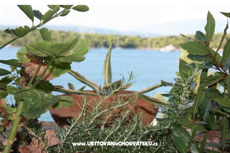 Villa Blaskovic – foto 15