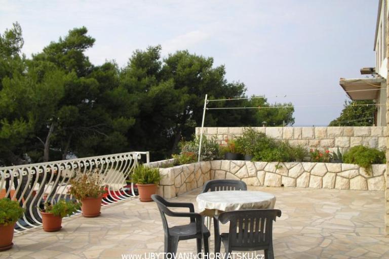 Villa Marija – foto 3