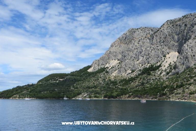 Apartmány M  – foto 13