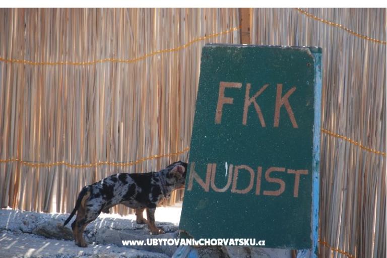 Apartmány Ribica 1 – foto 7