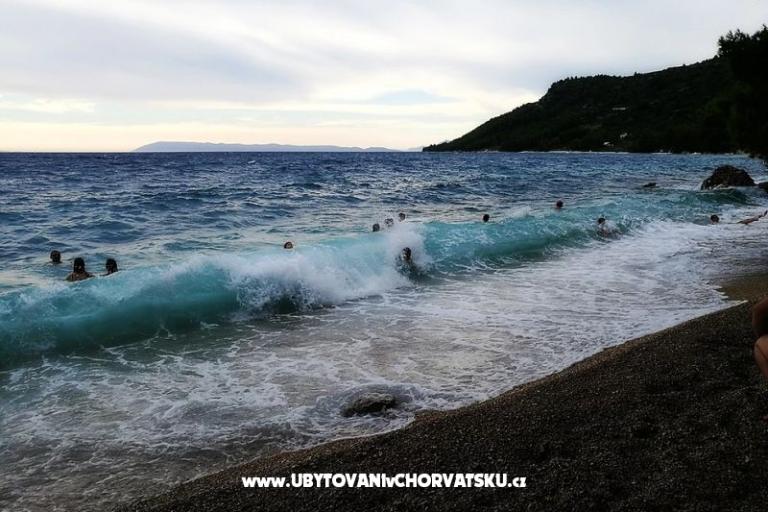 Villa Maslina – foto 6