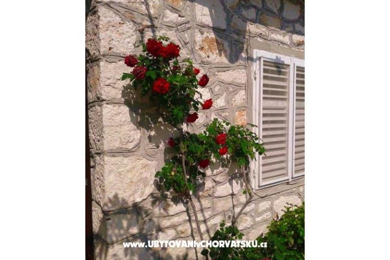 Dům k odpočinku - Zapuntel – foto 12