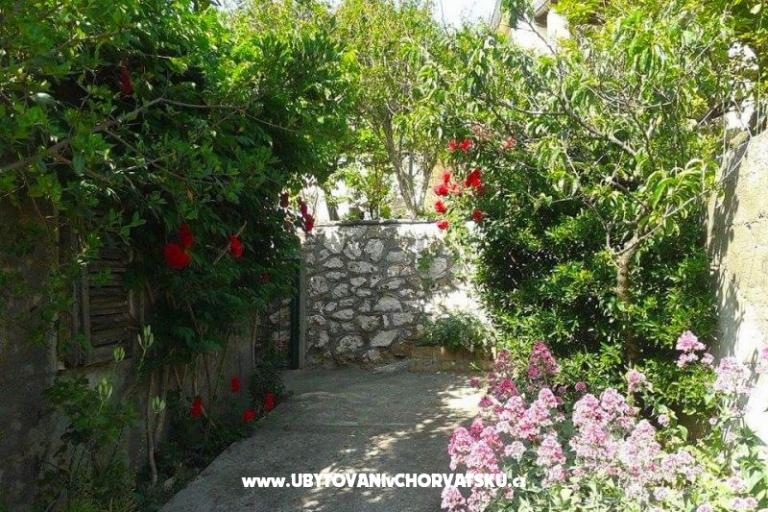 Dům k odpočinku - Zapuntel – foto 14