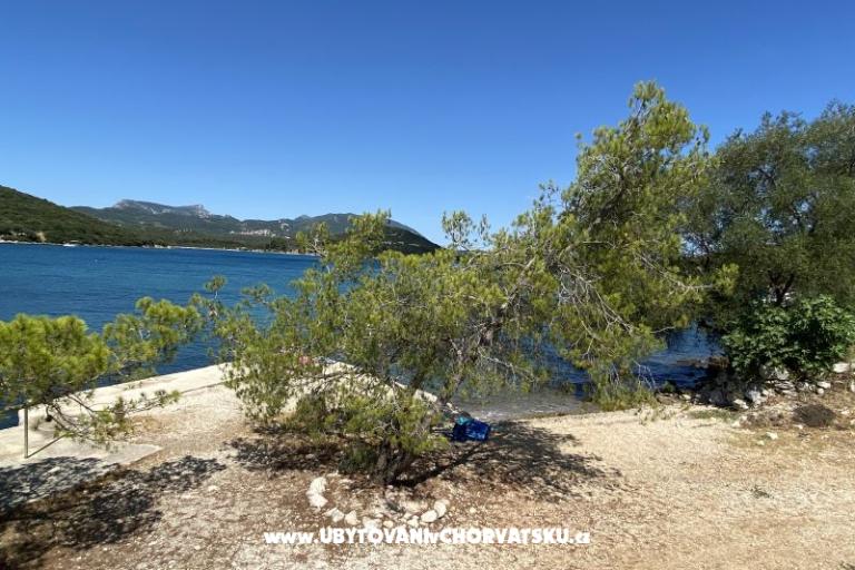 Apartmány Ankica – foto 2