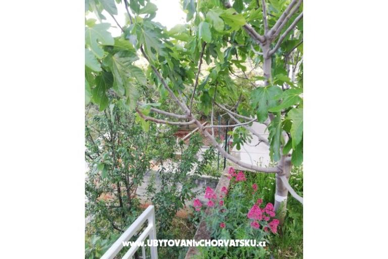 Apartmány Kabli1 – foto 14