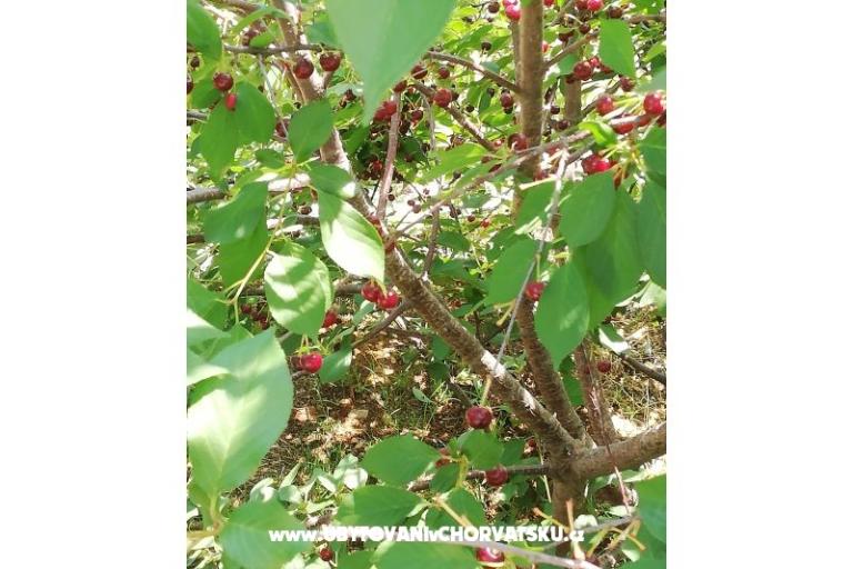 Apartmány Kabli1 – foto 16