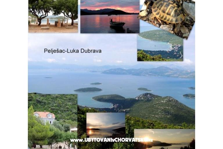 Apartmány Mirjana  – foto 15