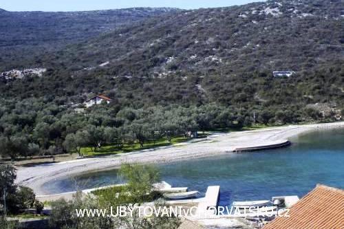 Apartmány Mirjana  – foto 3