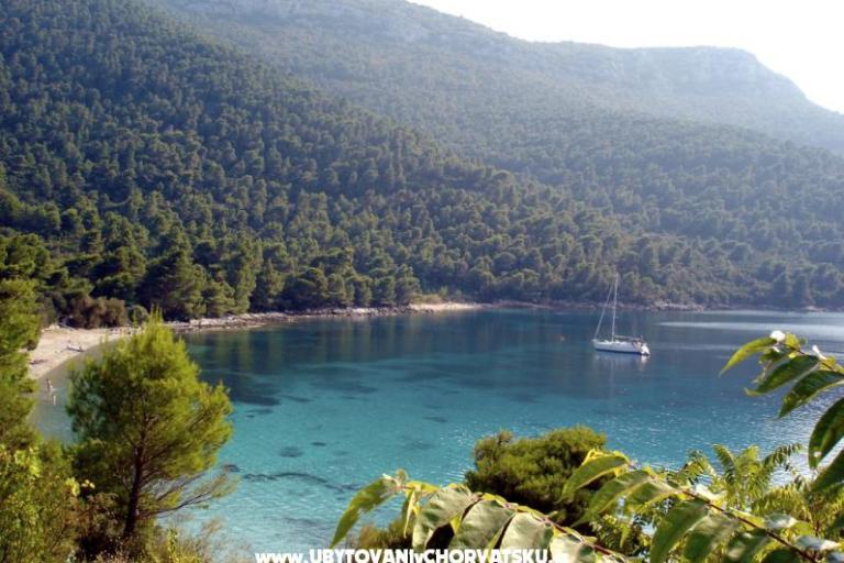 Apartmány Trstenik – foto 8